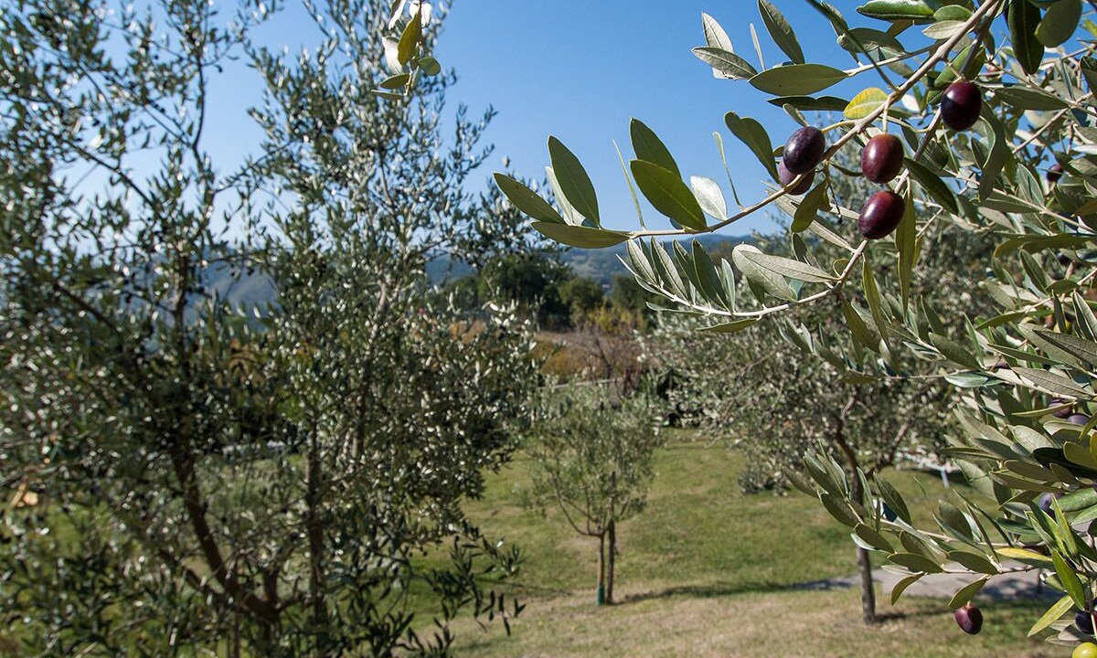 Photo of Outdoor in Pratovecchio