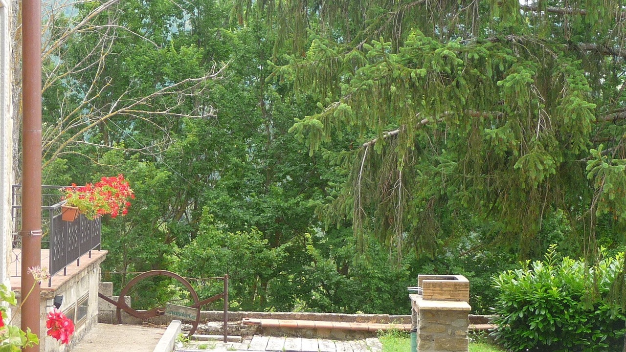 Photo of Outdoor in Pratovecchio