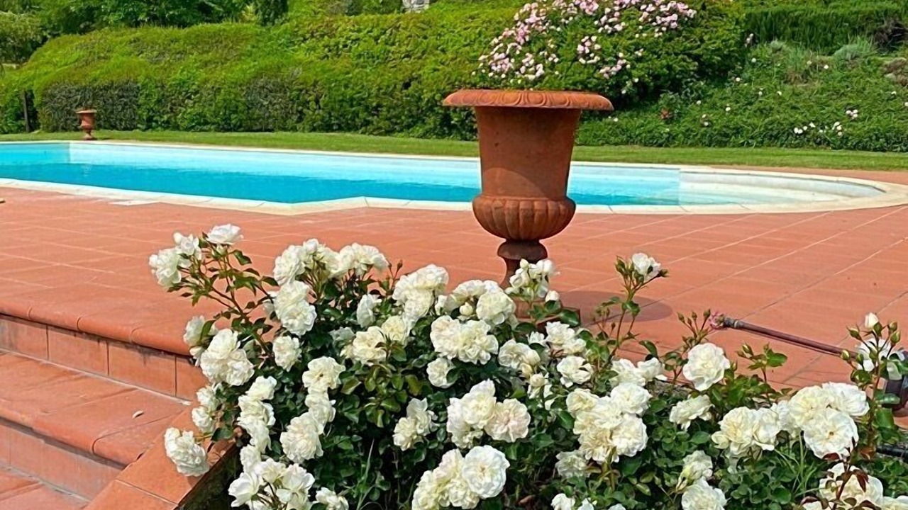 Photo of Outdoor in Castel Focognano