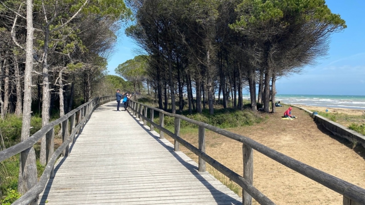 Photo of Others in Bibione Lido del Sole
