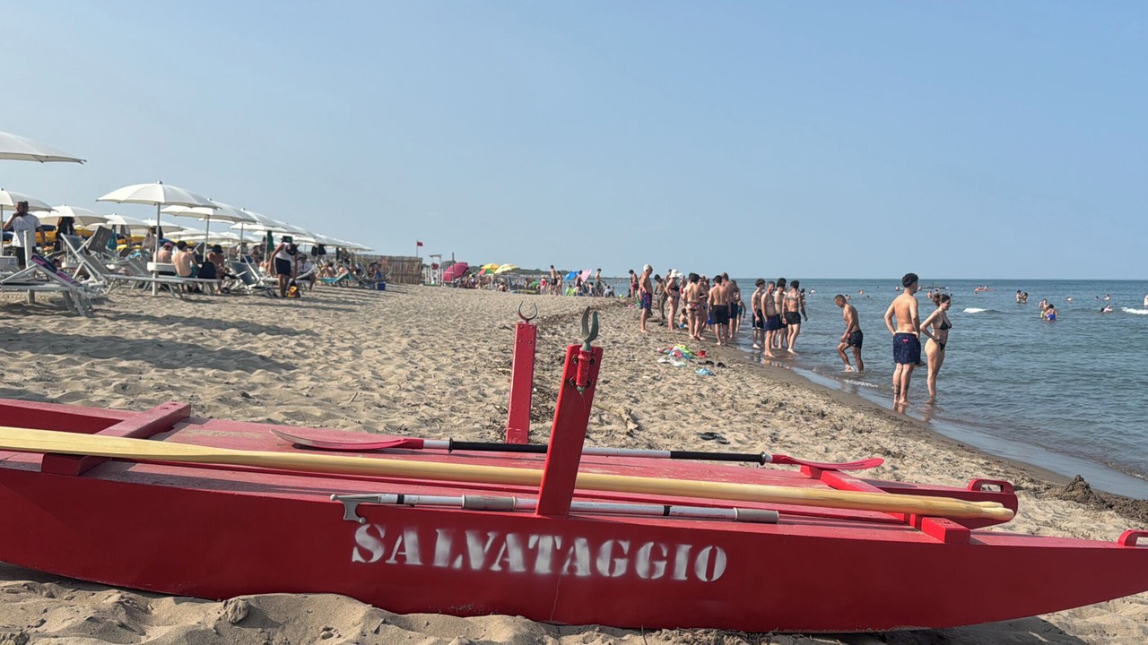 Photo of Others in Rosolina Mare