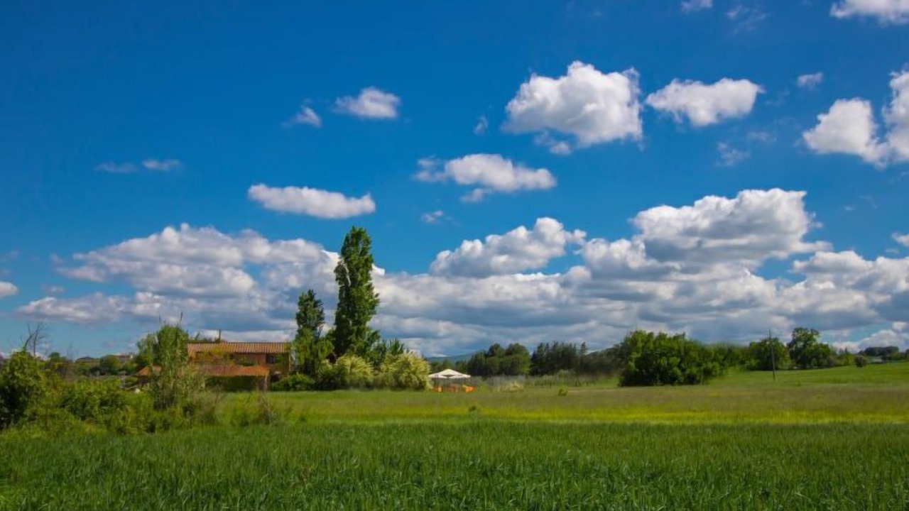 Photo of Others in Castiglione del Lago