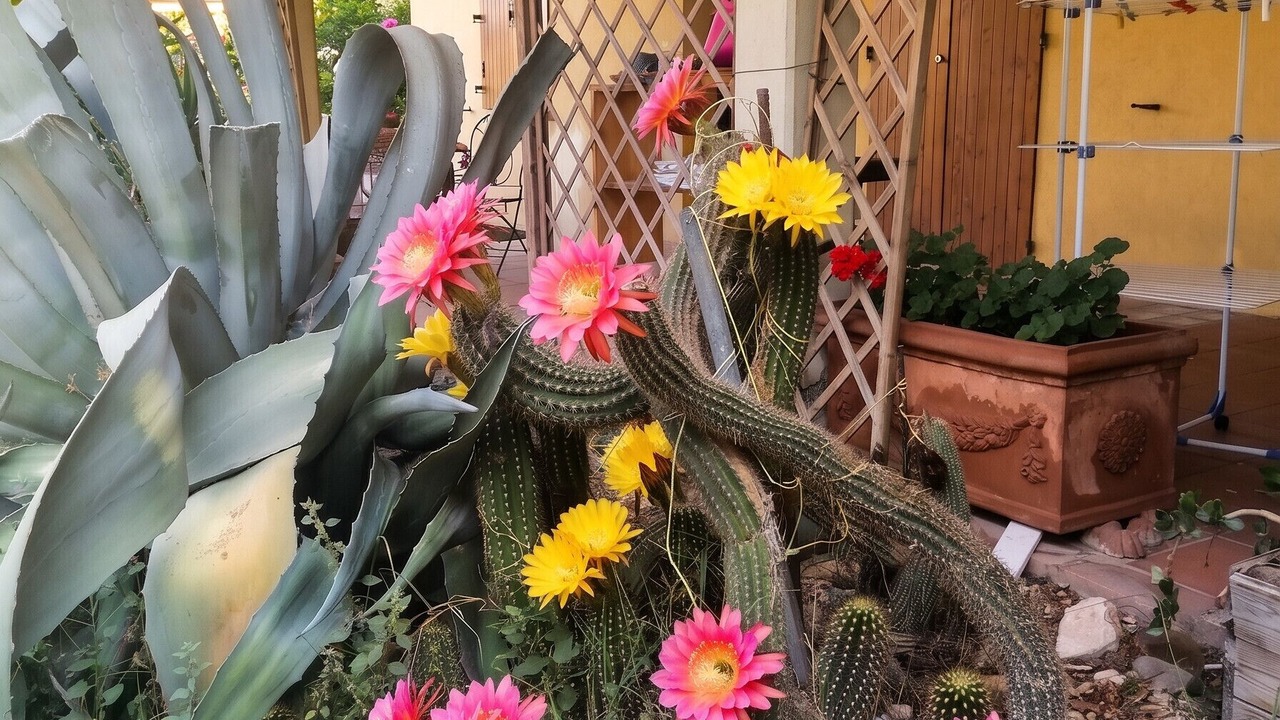 Photo of Outdoor in San Mauro Pascoli