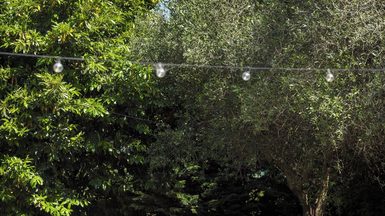 Photo of Outdoor in Rimini