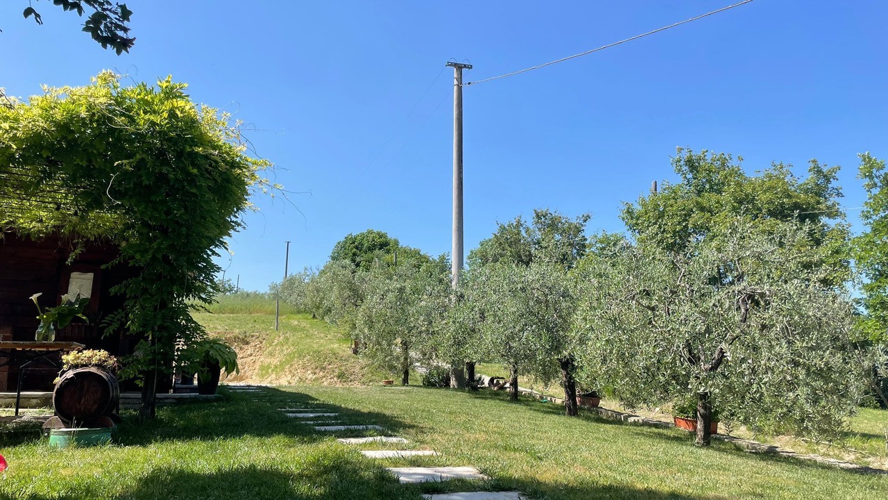 Photo of Outdoor in Motina