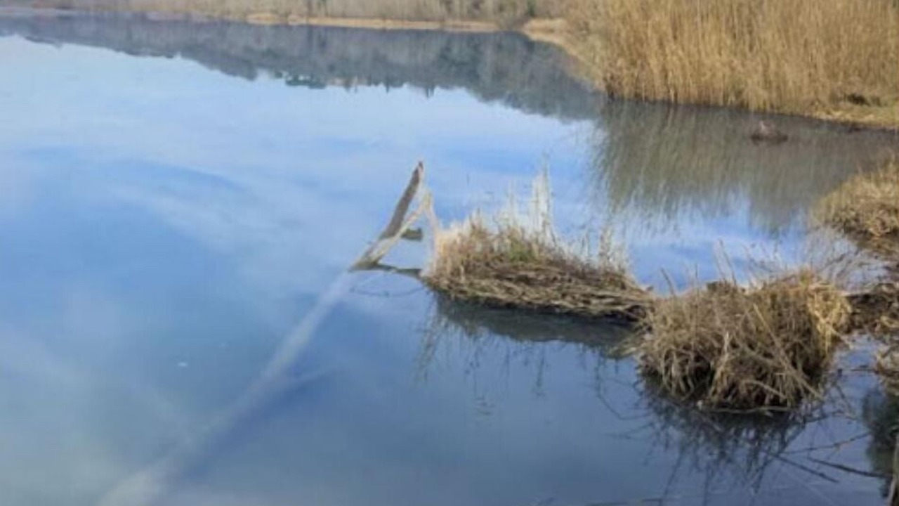Photo of Others in Castiglione del Lago