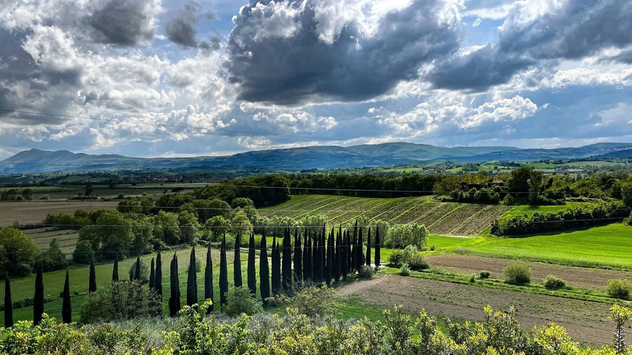 Photo of Others in Castiglione del Lago
