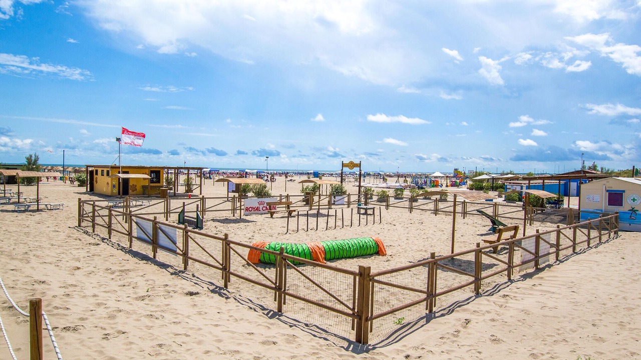 Photo of Others in Rosolina Mare