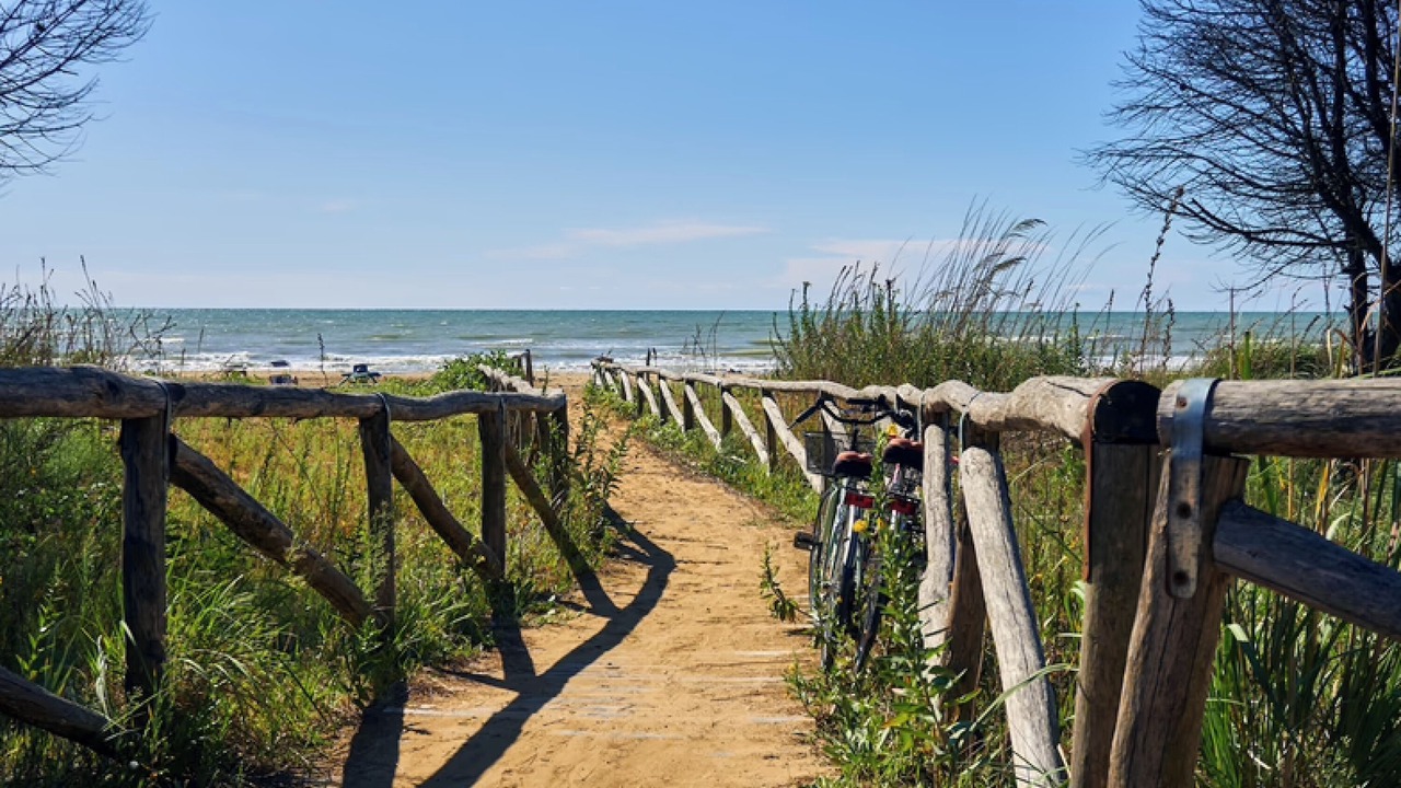 Photo of Others in Bibione Pineda