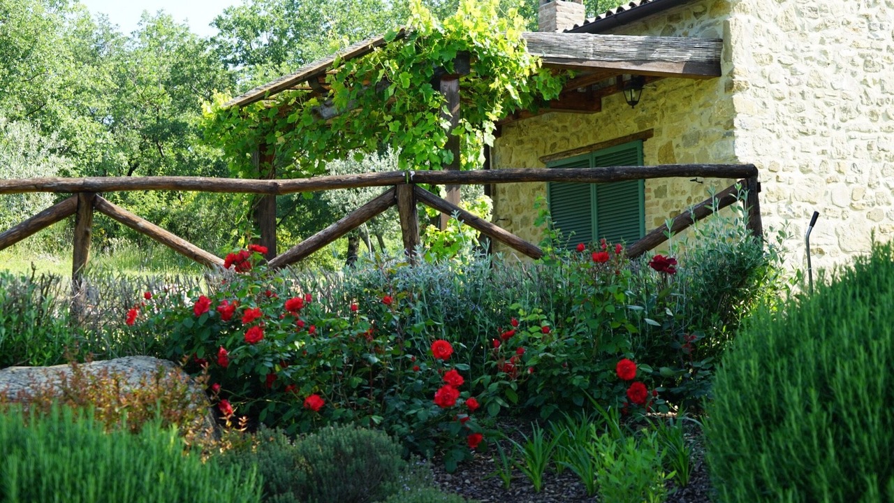 Photo of Outdoor in Montelovesco