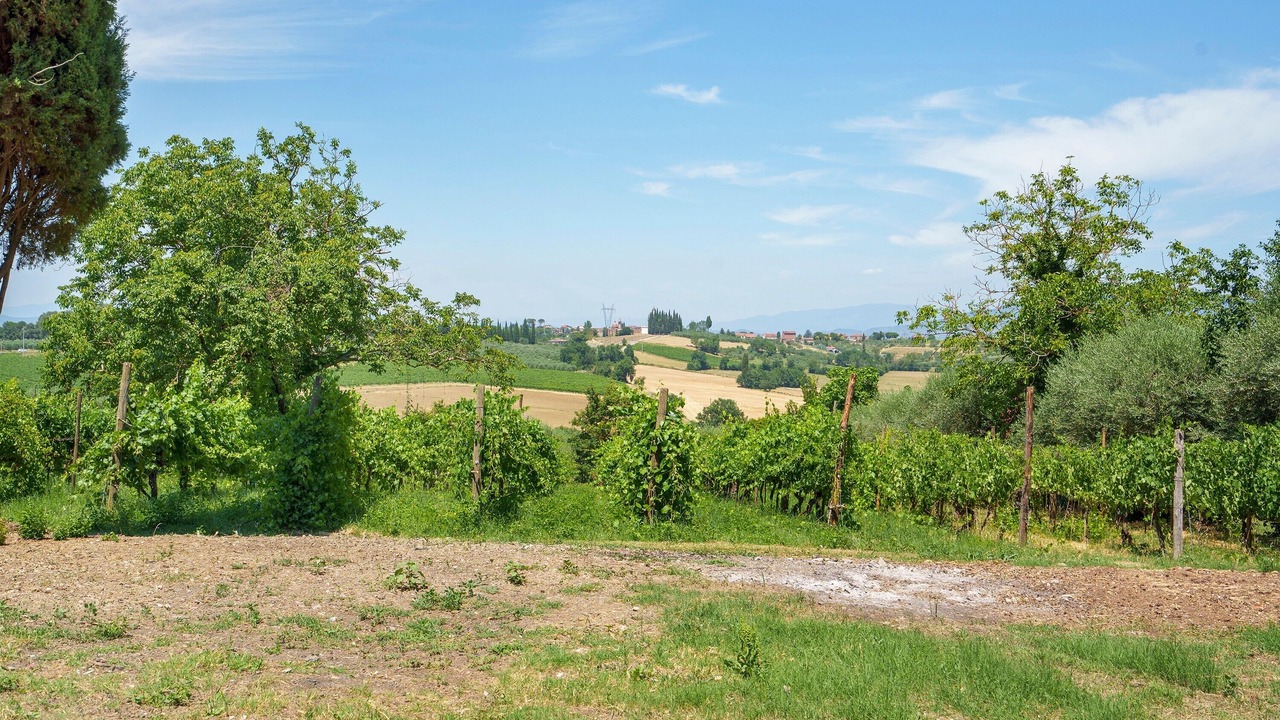 Photo of Others in Foiano della Chiana