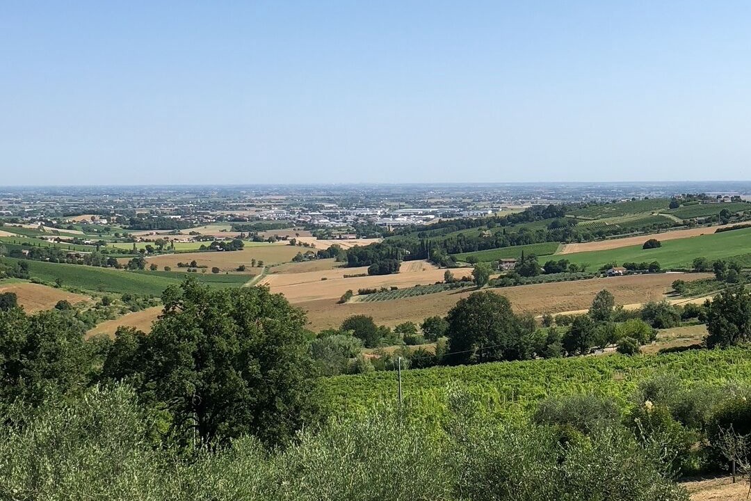 Photo of Others in Bertinoro
