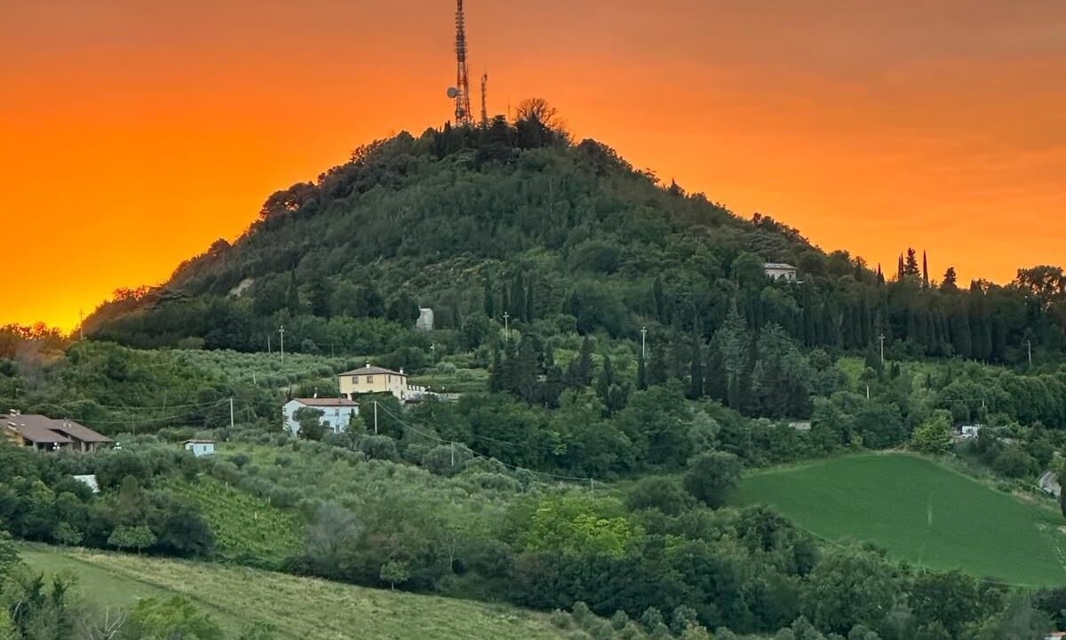 Photo of Others in Bertinoro