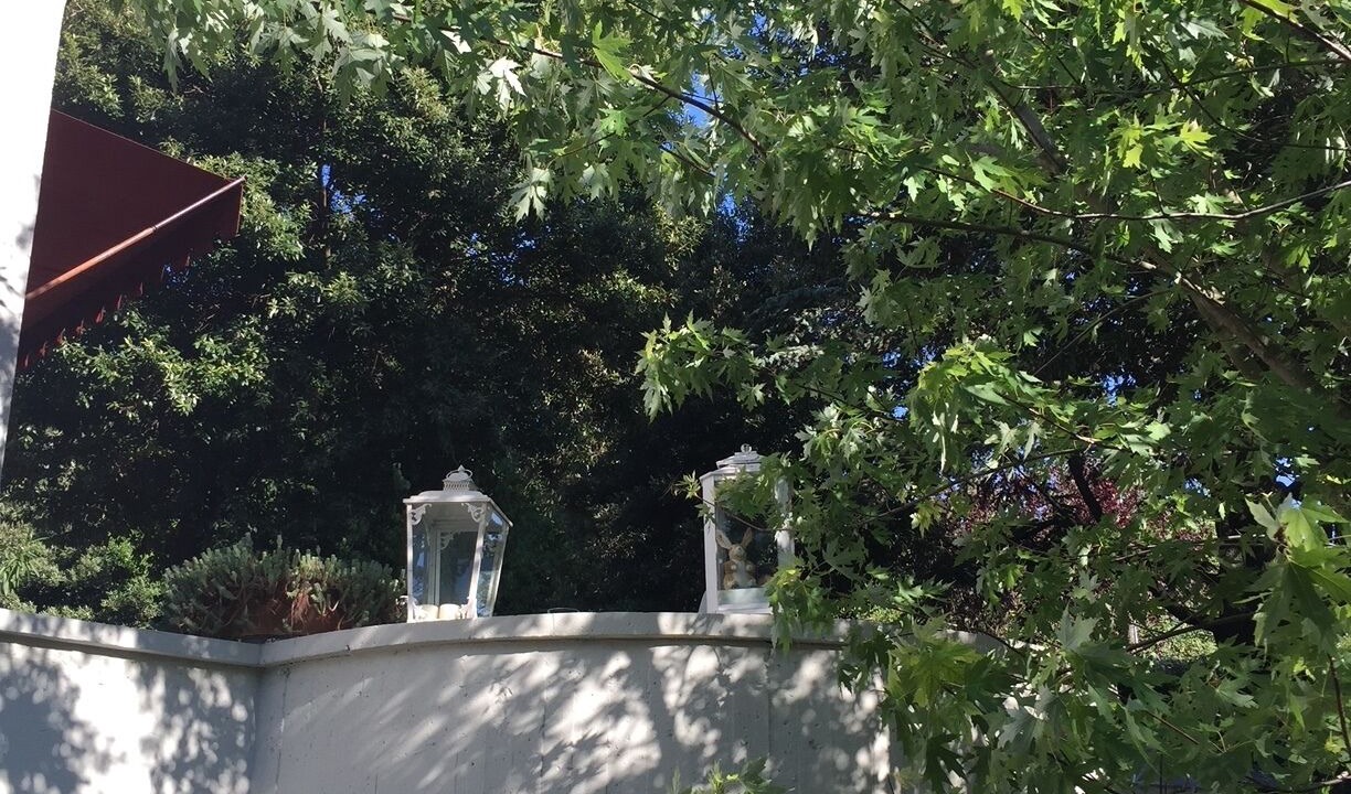 Photo of Outdoor in Bertinoro