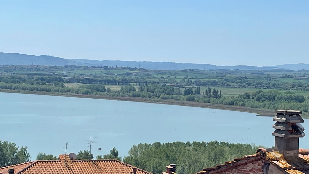 Photo of Others in Contrada Castello