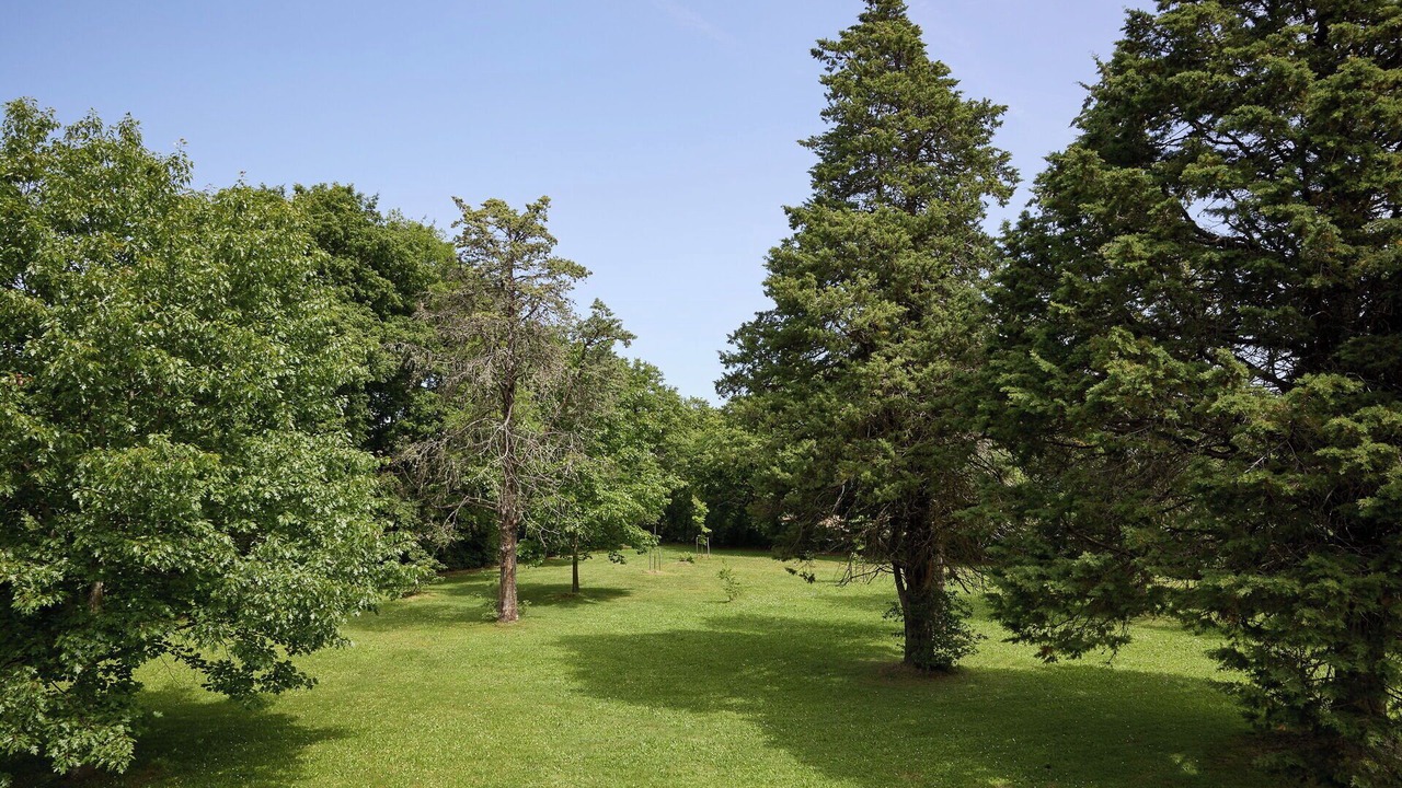 Photo of Outdoor in Monticiano