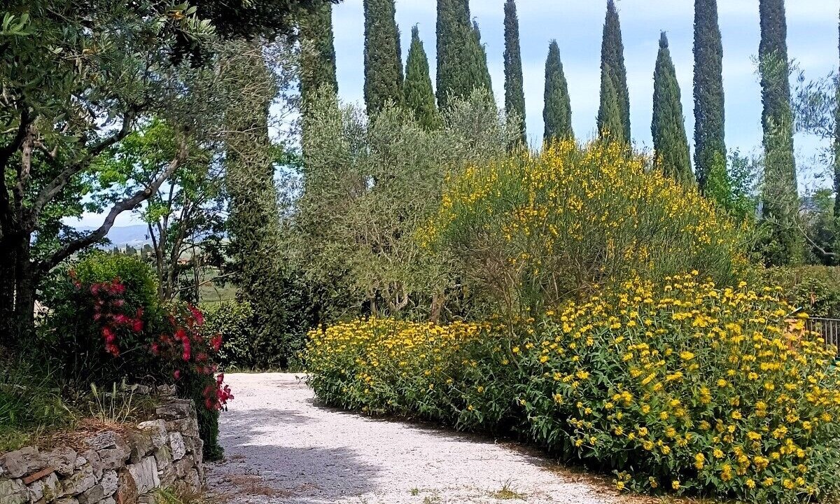 Photo of Outdoor in Asciano