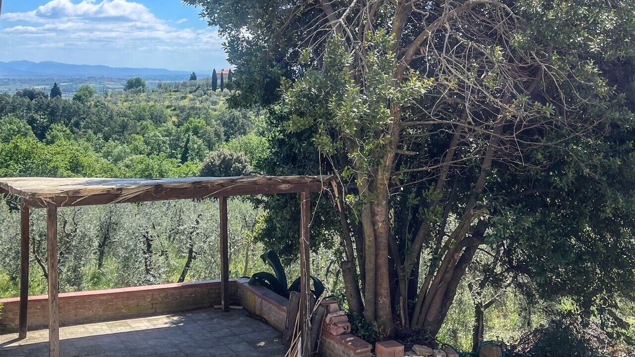 Photo of Others in Monte San Savino