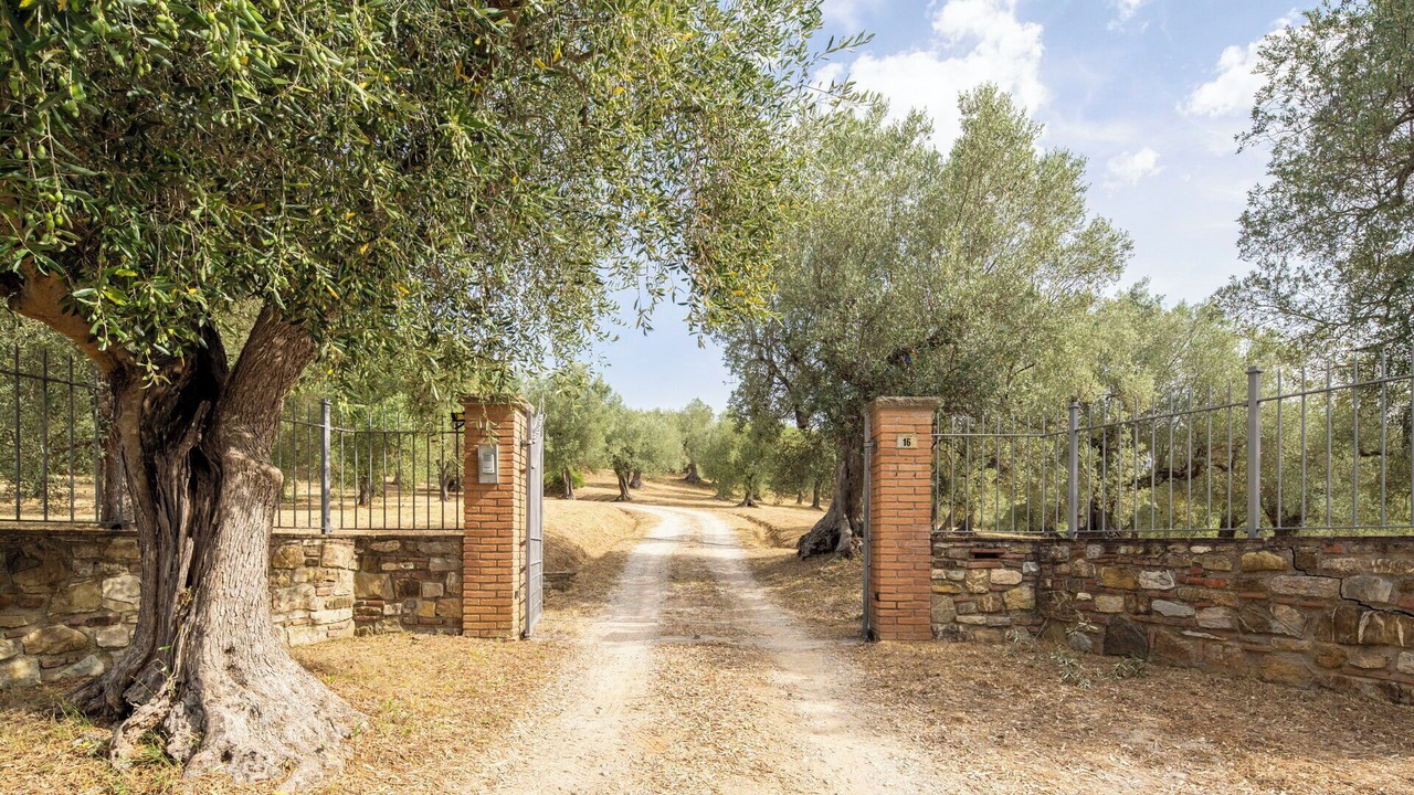 Photo of Others in Campiglia Marittima
