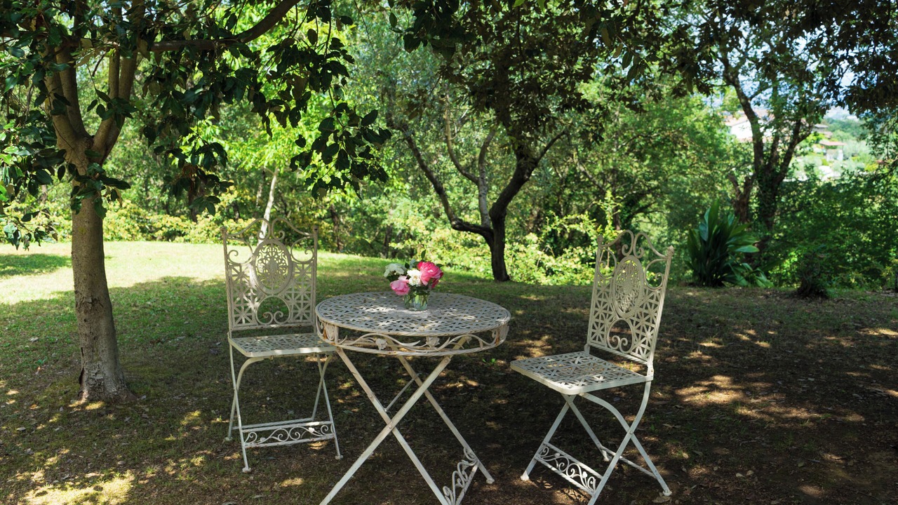 Photo of Outdoor in Monte San Savino