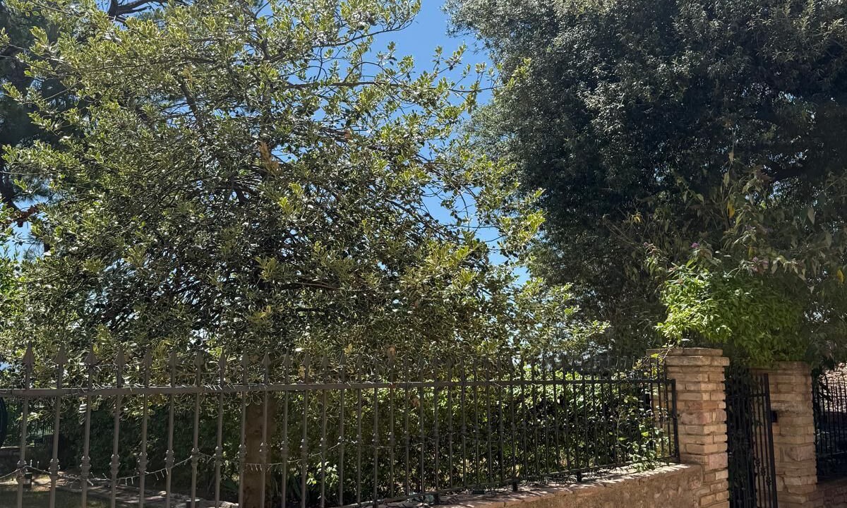 Photo of Outdoor in Spello