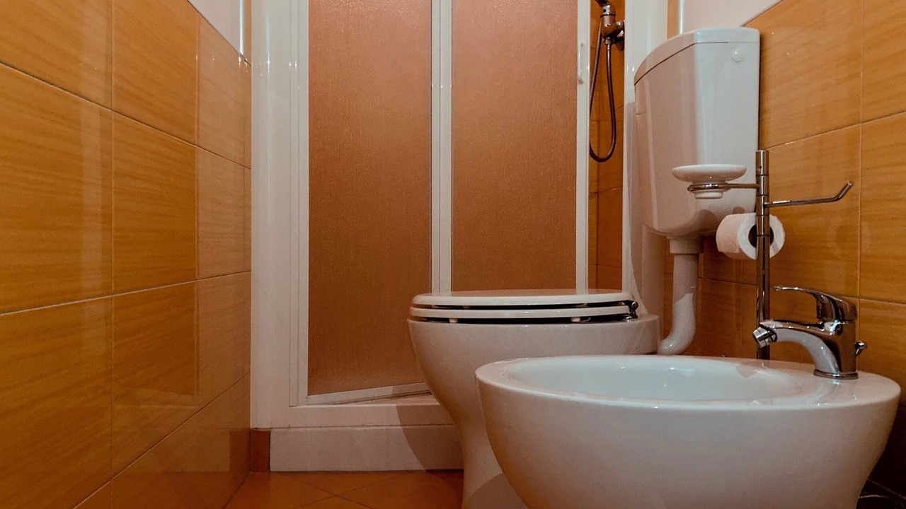 Photo of Bathroom in Rosapineta