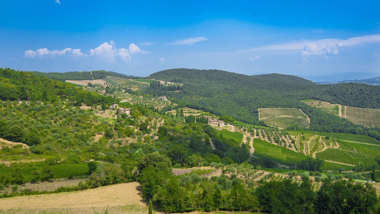 Photo of Outdoor in Panzano in Chianti