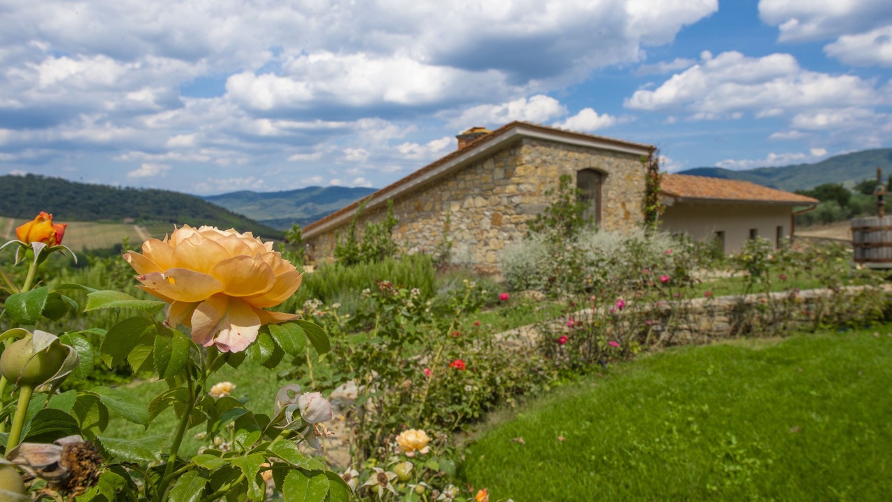 Photo of Outdoor in Panzano in Chianti