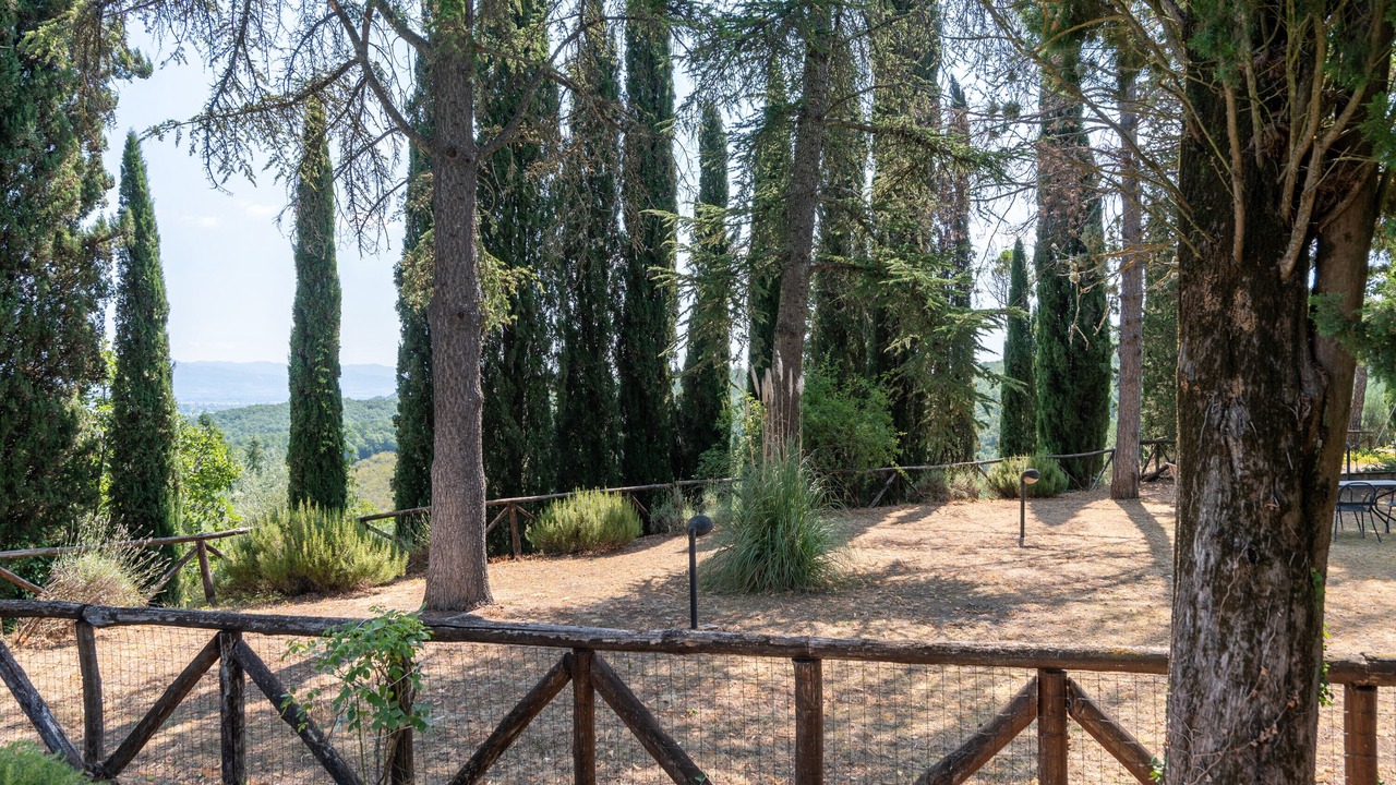 Photo of Outdoor in Santa Reparata