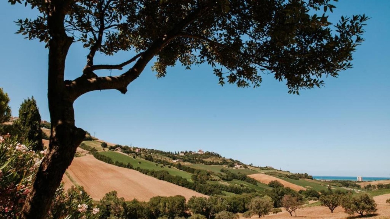 Photo of Others in Fermo