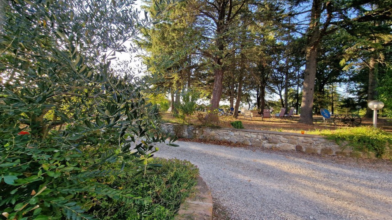Photo of Outdoor in Santa Reparata