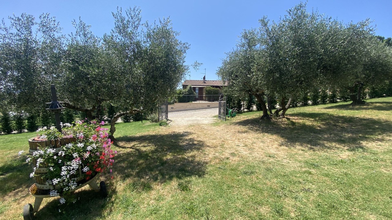 Photo of Outdoor in Casamaggiore