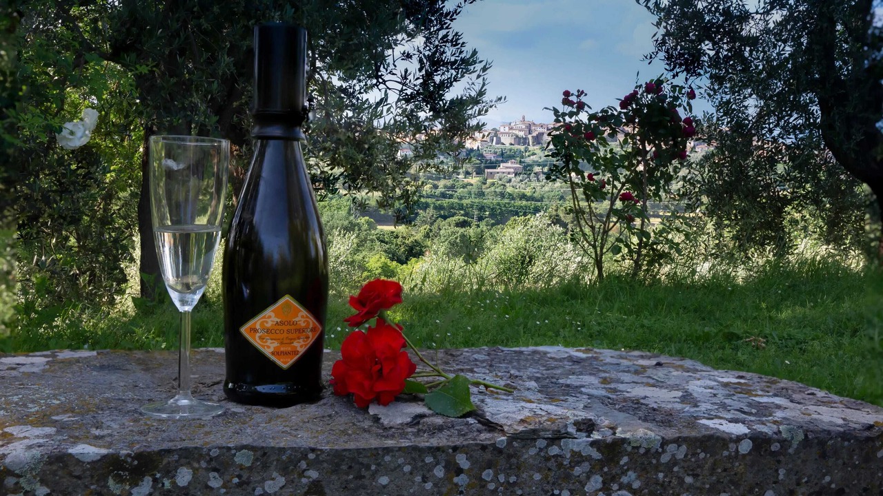 Photo of Outdoor in Monte San Savino