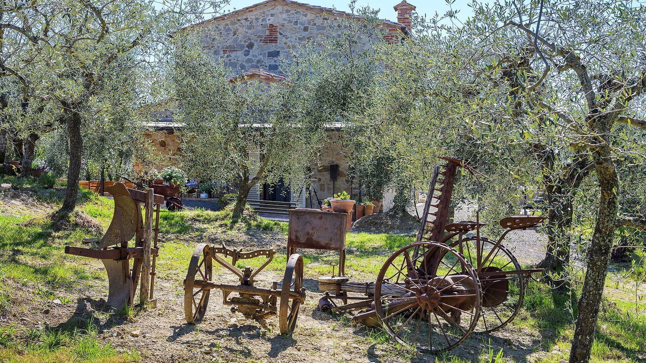 Photo of Others in Castelnuovo Berardenga
