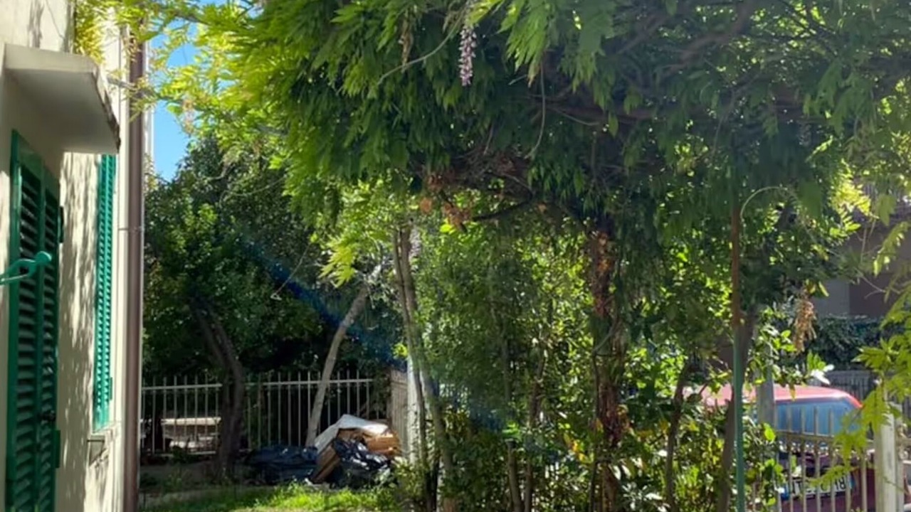 Photo of Outdoor in Viserba