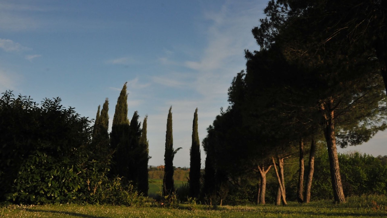 Photo of Others in Po' Bandino