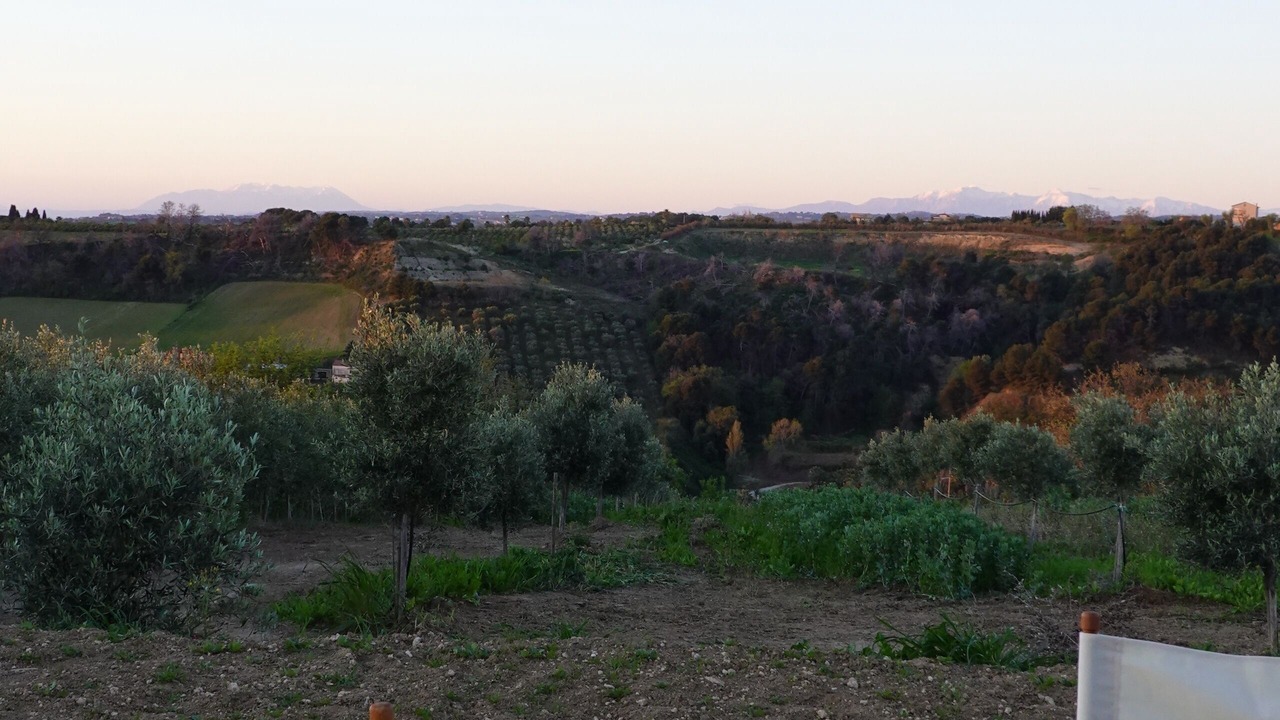 Photo of Outdoor in Campofilone