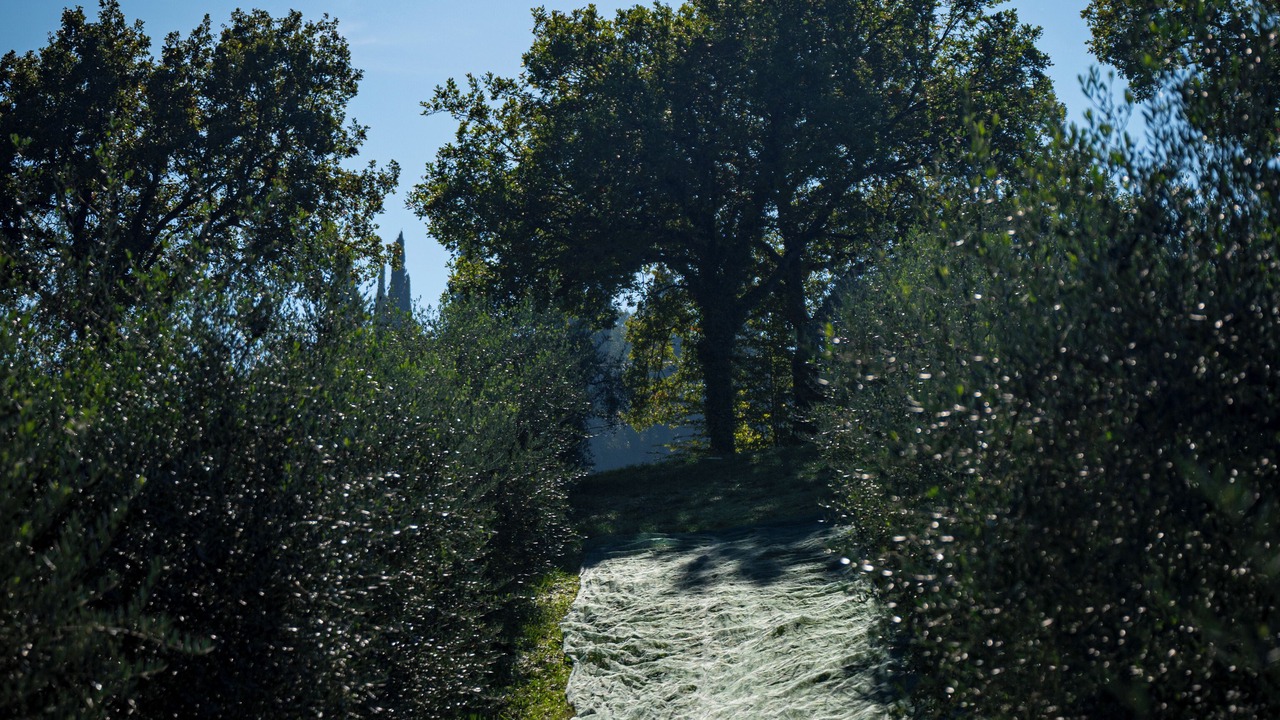 Photo of Others in Anghiari