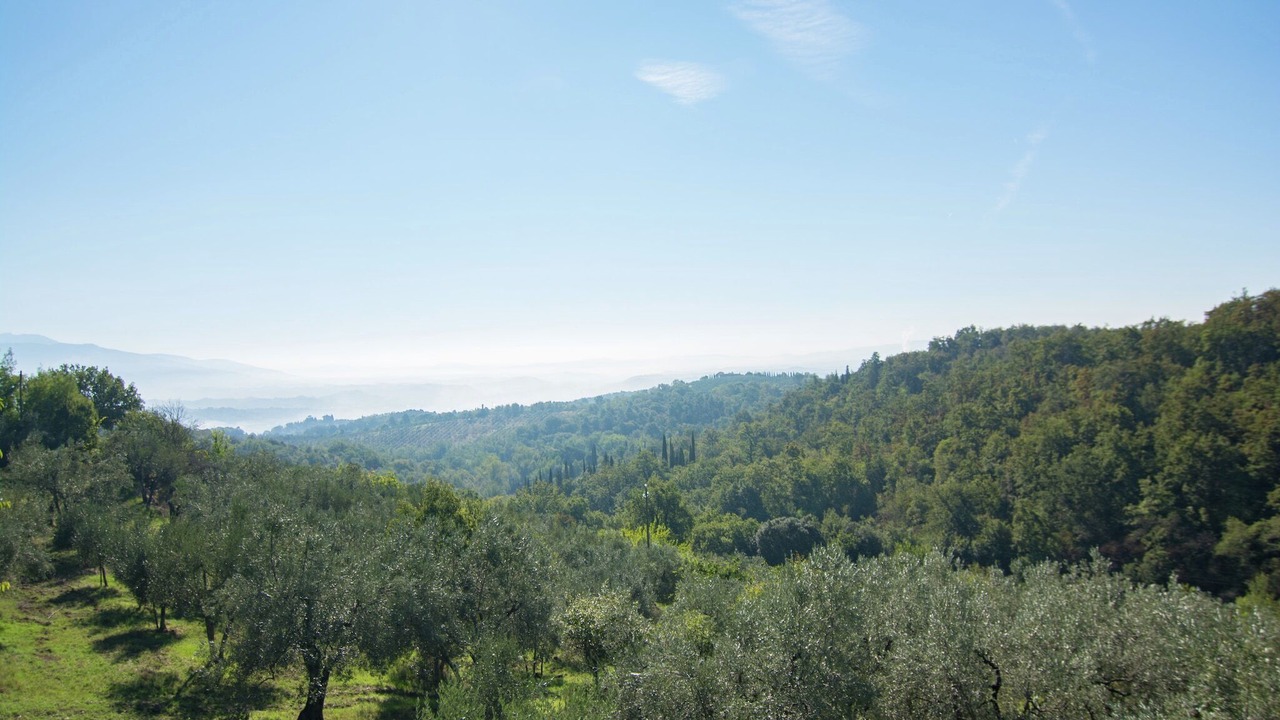 Photo of Others in Figline e Incisa Valdarno