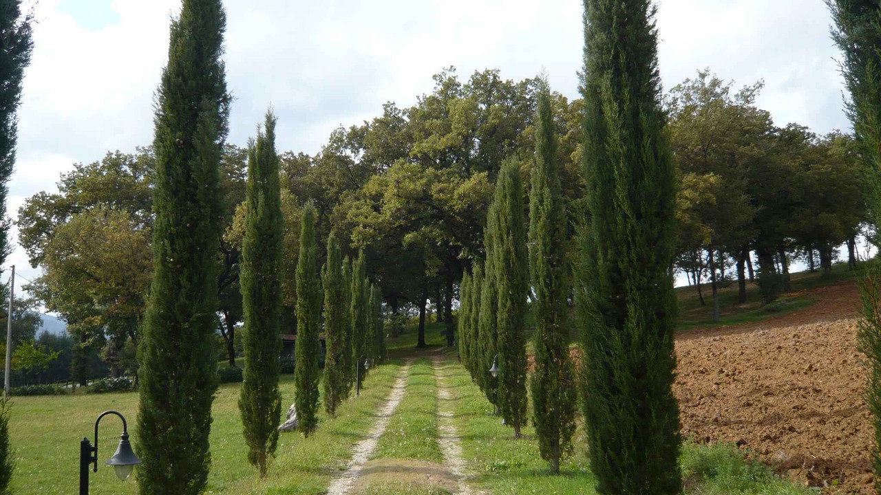Photo of Outdoor in Santa Reparata