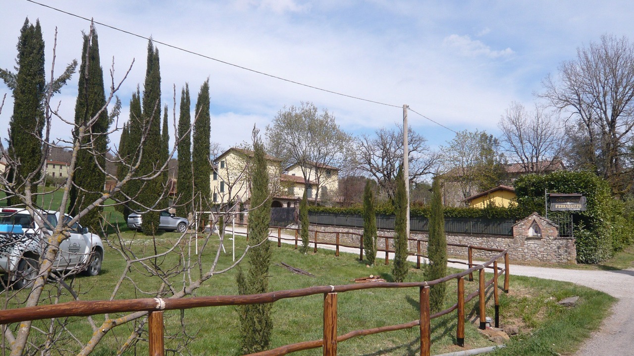 Photo of Outdoor in Santa Reparata