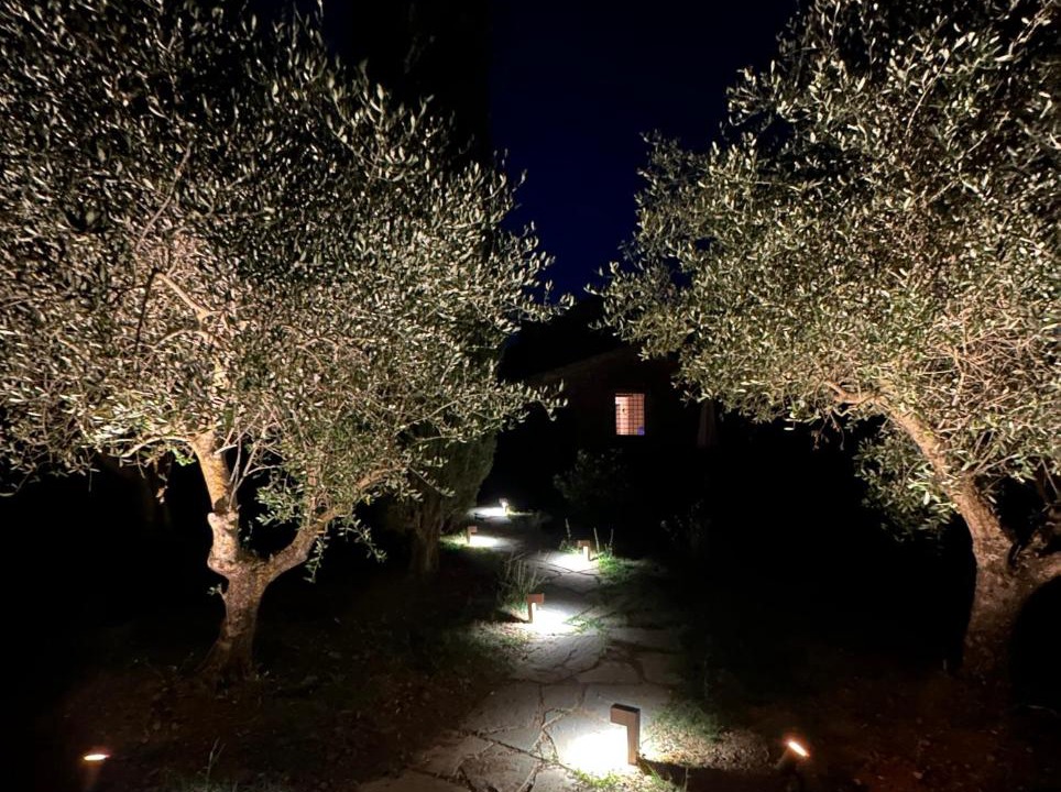 Photo of Others in Panicale