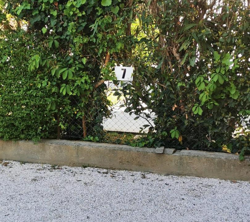 Photo of Others in Pinarella