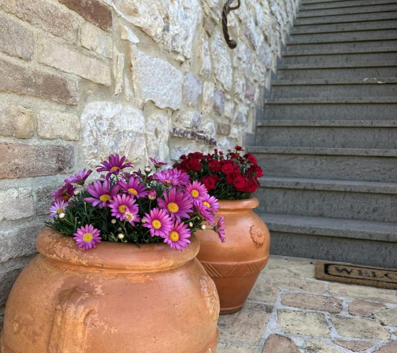 Photo of Others in Castelnuovo