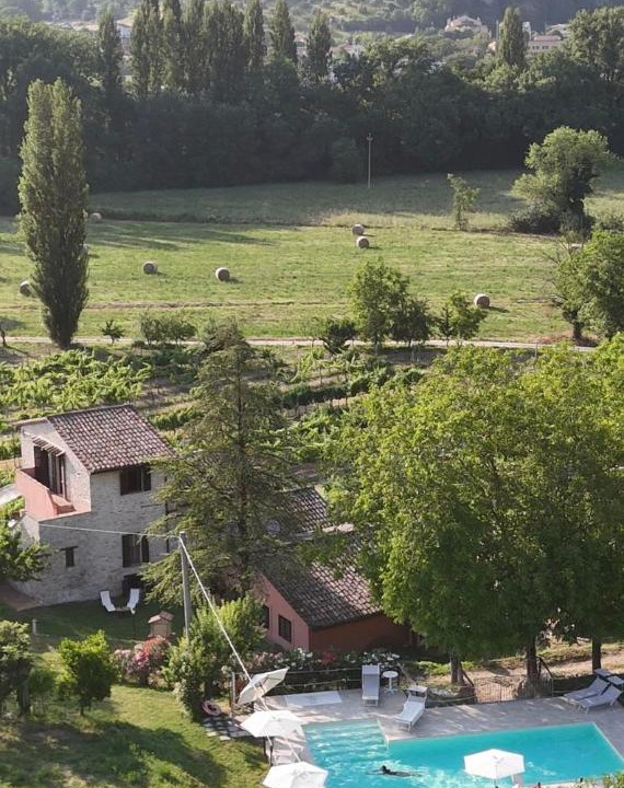 Photo of Others in Precetto