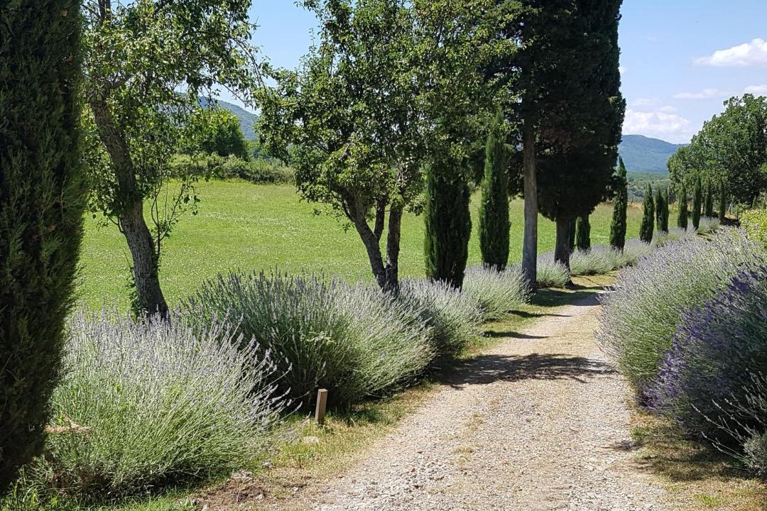 Photo of Others in Borgo San Lorenzo