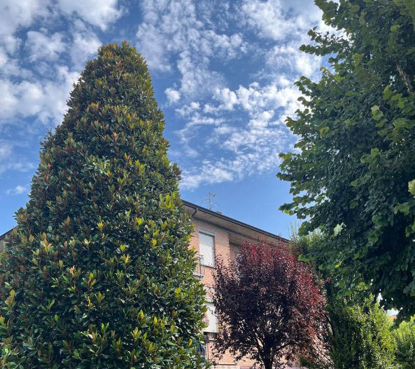 Photo of Others in Reggio nell'Emilia