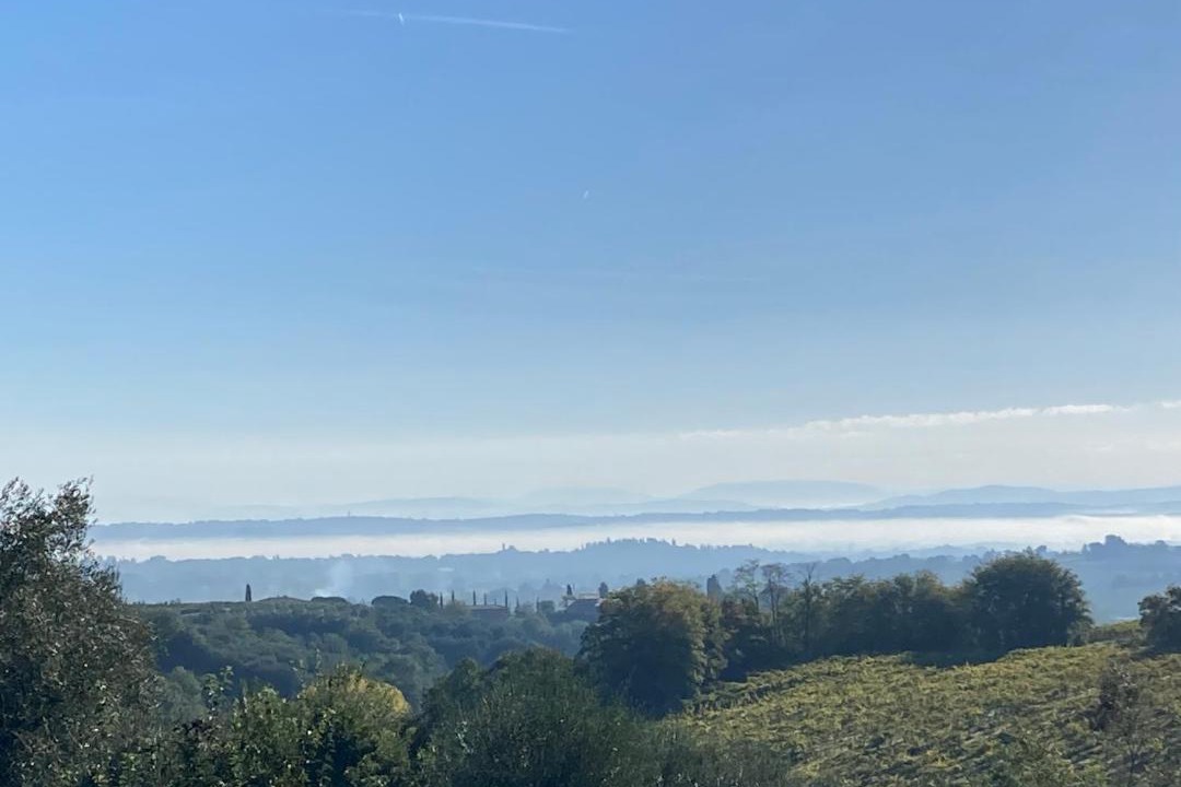 Photo of Others in Montepulciano