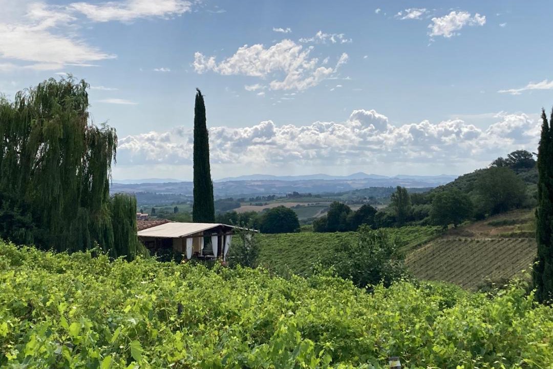 Photo of Others in Montepulciano