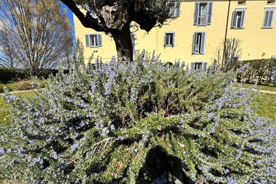 Photo of Others in Anzola dell'Emilia